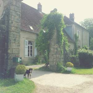 Photo of chambre familiale 4 places