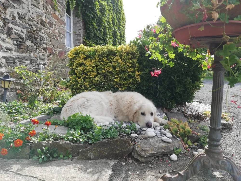 Hébergement touristique Normandie Manche chambre d'hôtes chez Germaine n°2