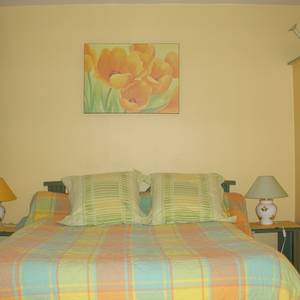 Photo de chambre tulipe