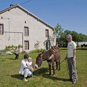 Photo de chambre de l'âne