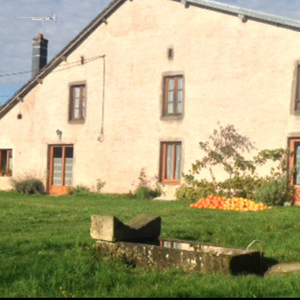 Photo de chambre du cheval