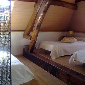 Photo of Les Narcisses