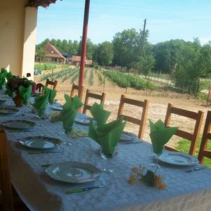 Photo of les Jonquilles