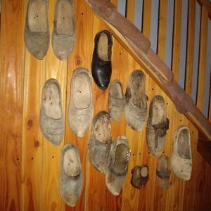 Photo de LE REFUGE DE P'TIT ÂNE