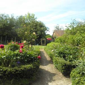 Photo de suite familiale