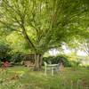 Ombrage au jardin -  Chambre d’hôte OASIS (Pays de la Loire, Maine-et-Loire)