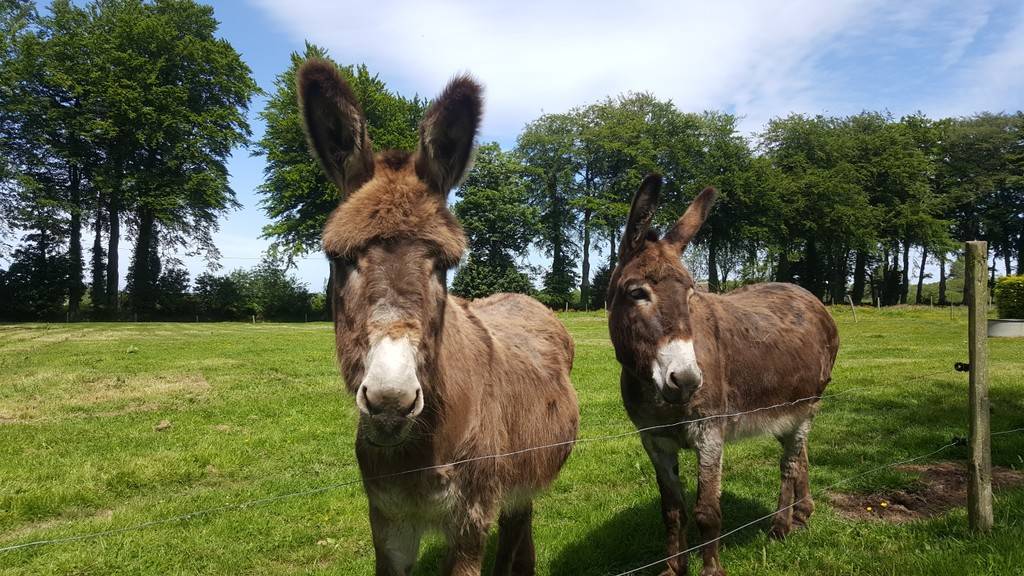  Tourist accommodation Normandie Seine-Maritime Room 1