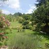 jardin -  Chambre d’hôte Chambre Aude (Bourgogne-Franche-Comté, Jura)