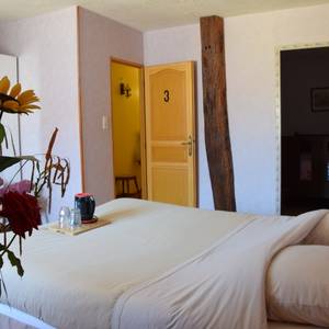 Photo of triple room