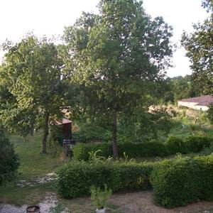 Photo de chambre jaune