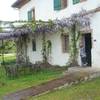  Guest room B&B Les Convertigues (Occitanie, Haute-Garonne)