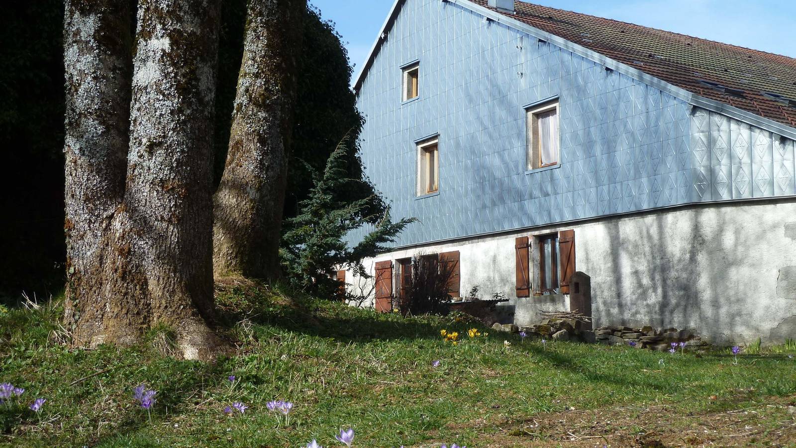 Ferme " La Fritillaire "