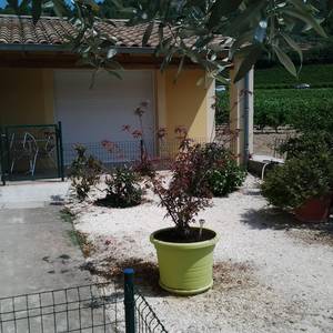 Photo de La Donne - chambre d'hôte