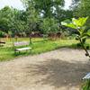 terrain de boules -  Chambre d’hôte La Ginelais (Pays de la Loire, Mayenne)