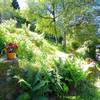 jardin -  Chambre d’hôte La Villa Jacques - chambre 2 pers (Occitanie, Tarn)