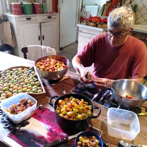 Photo de chambre Hydrangea