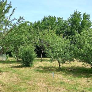 Photo de quelque part sur la terre