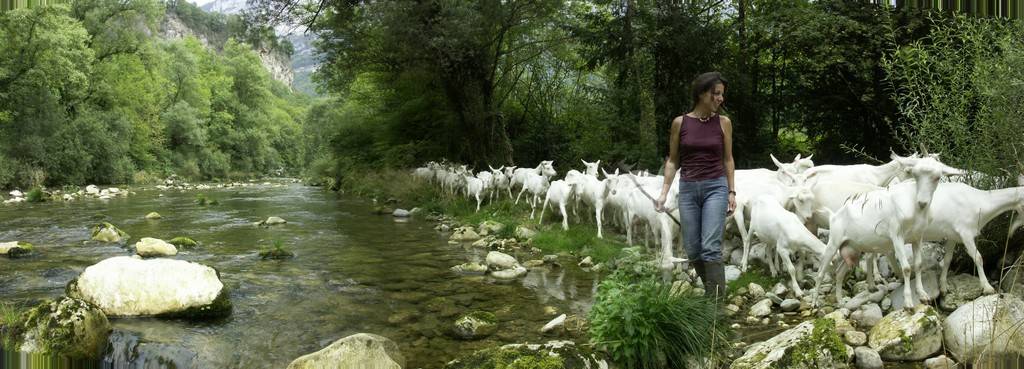 Ressourcement au bord de la rivière La Bourne  - Hébergement touristique Auvergne-Rhône-Alpes Isère CAMPING A LA FERME
