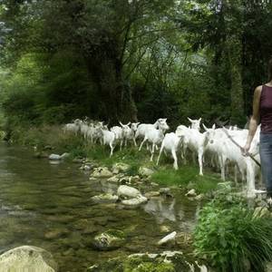 Photo de CAMPING A LA FERME