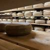 fabrication de gouda fermier avec le lait des vaches frissone -   Camping de la Ferme Arc en ciel (Pays de la Loire, Mayenne)