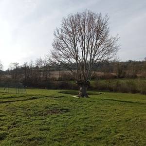 Photo de La ferme de l'instière