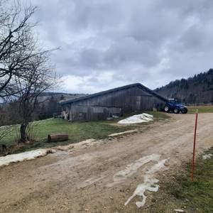 Photo of Natural camping area