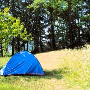 Photo de Camping des Vieux Chênes