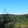 Vue sur un sentier à quelques centaines de mètres -   Camping des Vieux Chênes (Occitanie, Ariège)