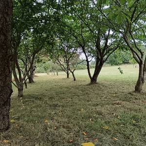 Photo de Camping à la ferme