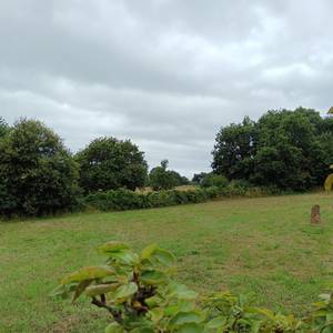 Photo de Camping à la ferme vue mer