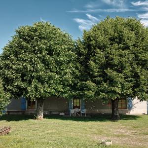 Photo de Arrêt Camping Car Le bois d'haut