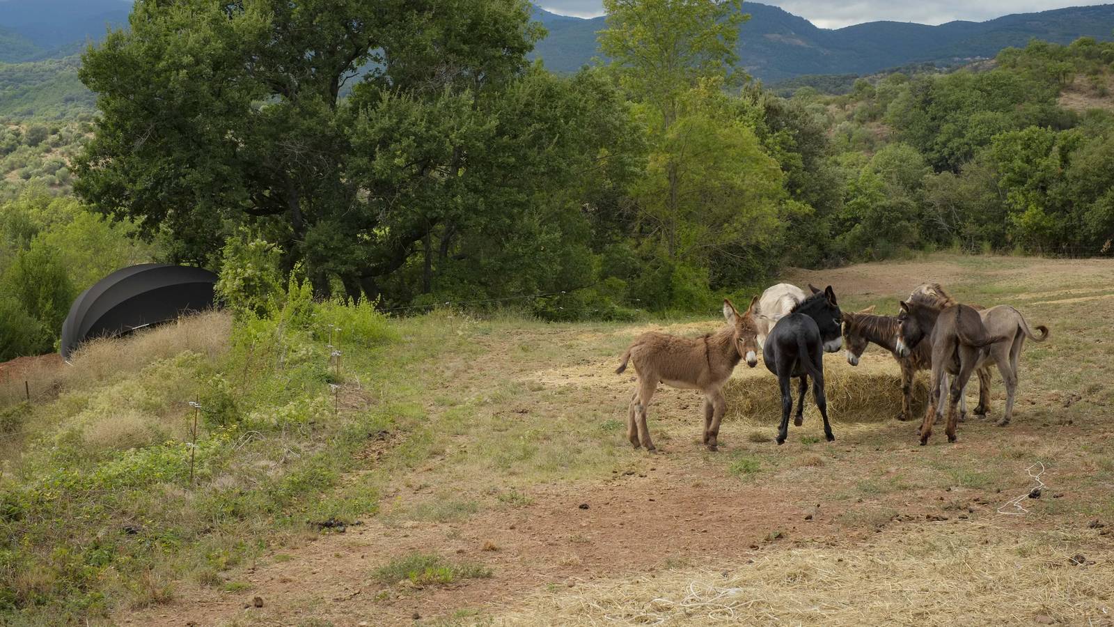  Hébergement touristique Occitanie Hérault camping