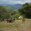  Camping camping (Occitanie, Hérault)