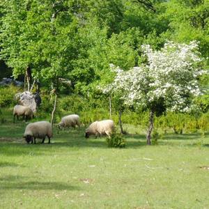 Photo de PERES Yves et Claudie