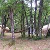 Aire naturelle de la blaquière -  Camping Aire naturelle de la blaquière (Occitanie, Aveyron)
