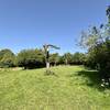  Camping Le Pas d'Âne (Normandie, Calvados)