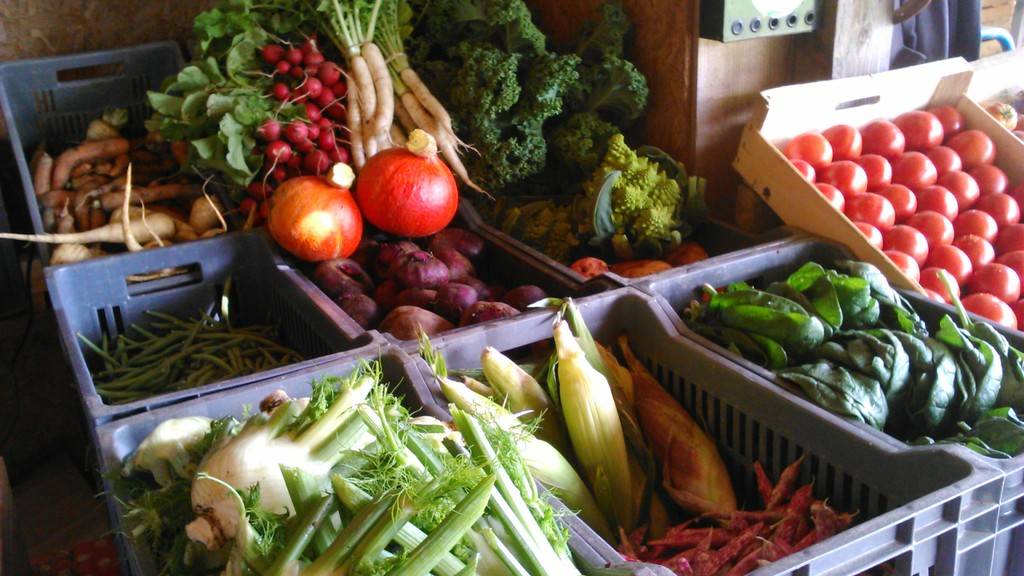 Miam des légumes ! - Hébergement touristique Pays de la Loire Vendée Le Jardin de la Bardonnière
