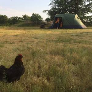 Photo de Camping La Caille