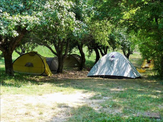sous les poiriers "camping du bas" - Hébergement touristique Provence-Alpes-Côte d’Azur Hautes-Alpes Camping à la ferme