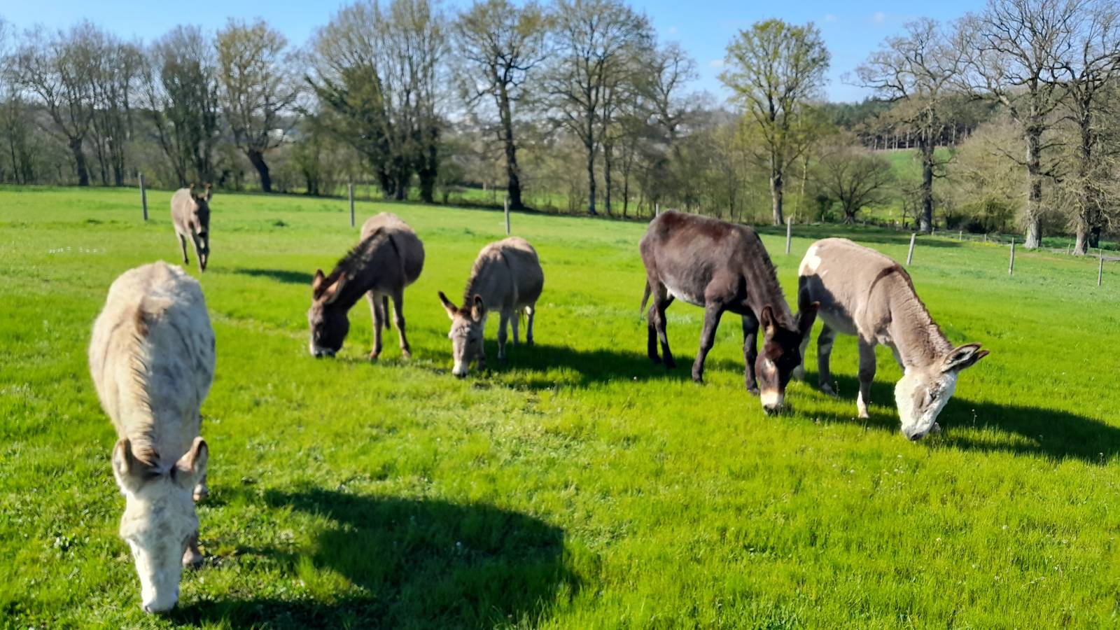 Hébergement touristique Pays de la Loire Mayenne Nuitées à la ferme