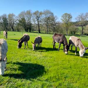 Photo de Nuitées à la ferme