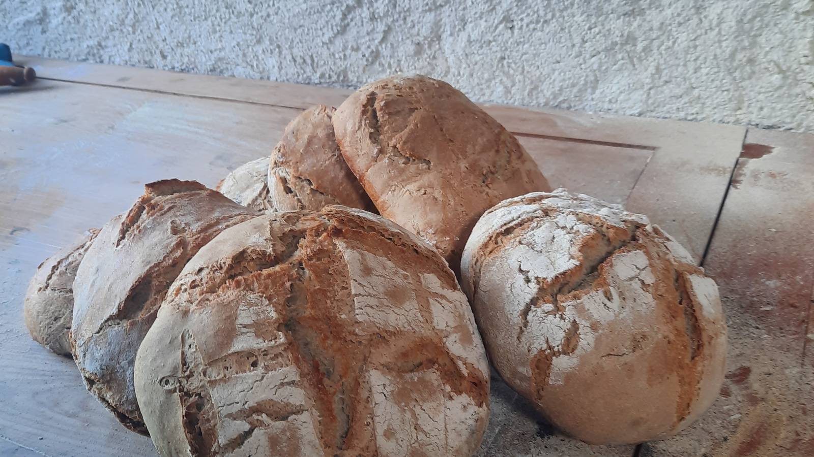 Nos pains, parfois disponibles aux repas. - Activity Pays de la Loire Maine-et-Loire Table d'hôte des Reinières