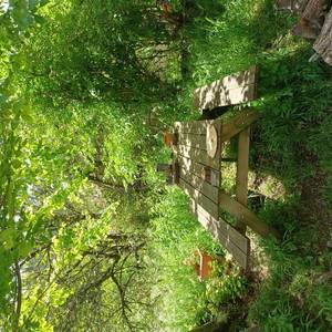 Photo de chez Sophie