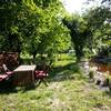 La table extérieure lorsqu'il fait beau -  Table ou auberge Table d'hôtes de la ferme des montagnes bleues (Auvergne-Rhône-Alpes, Drôme)
