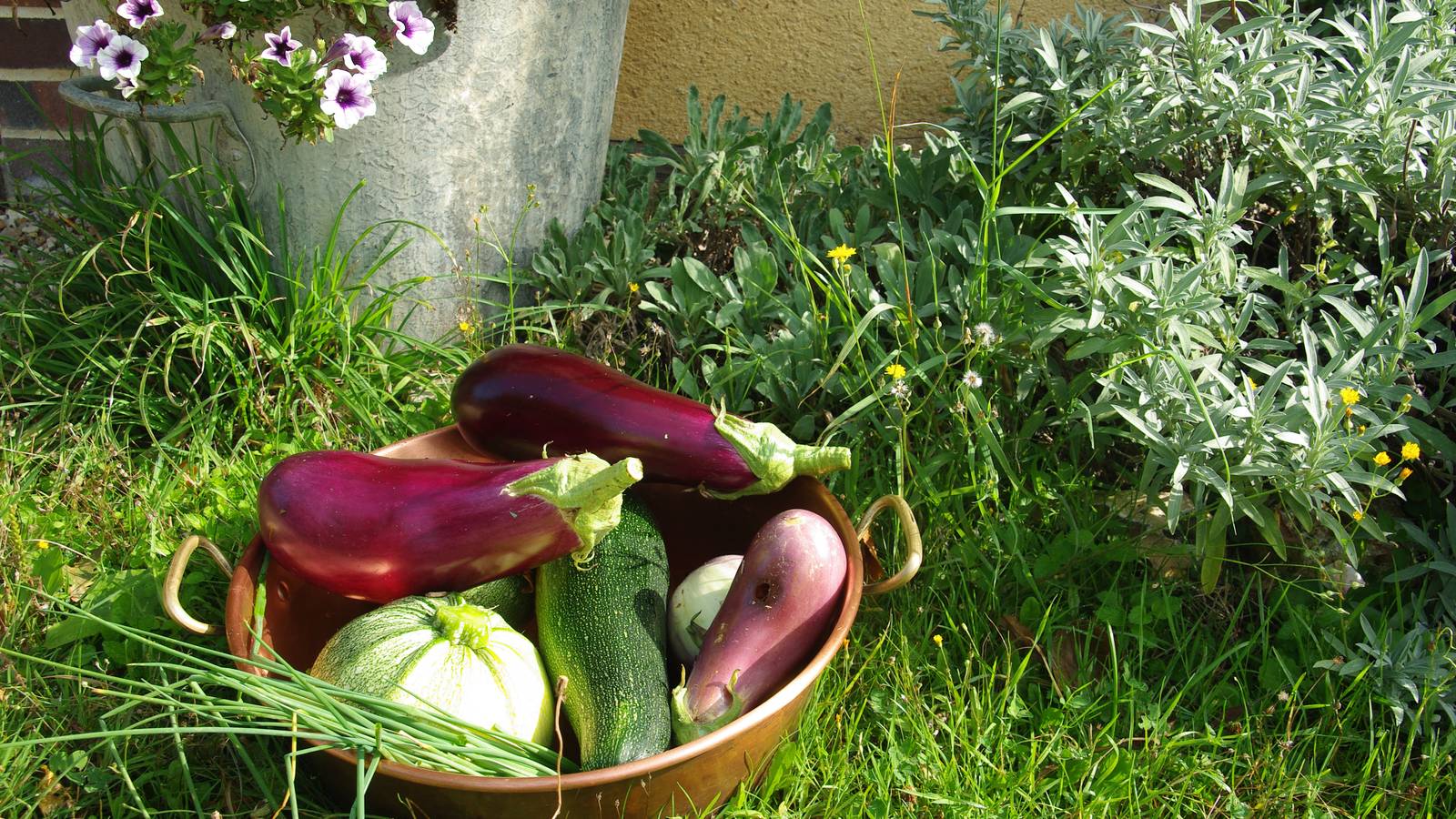  Activity Centre-Val de Loire Eure-et-Loir Garden plate