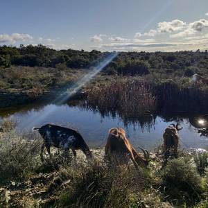 Photo of la ferme des bouquets