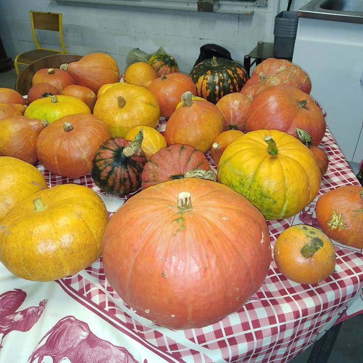  Activité Grand Est Ardennes Repas du soir Accueil Paysan