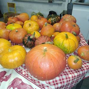 Photo de Repas du soir Accueil Paysan