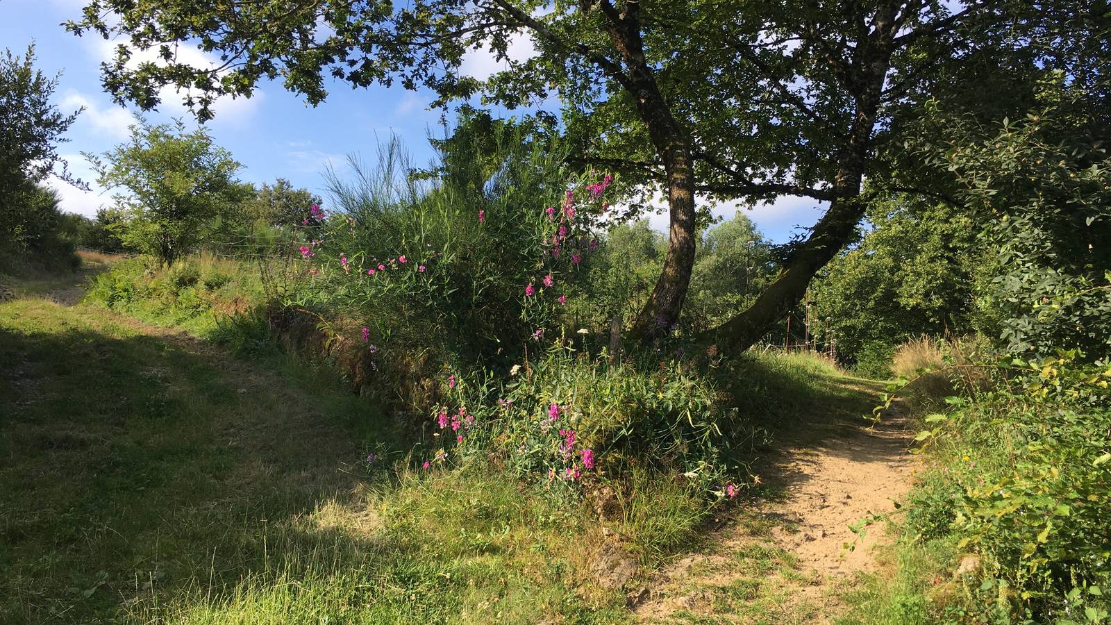  Activité Nouvelle-Aquitaine Corrèze Les Jardins d'Yzorche
