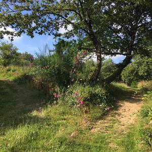 Photo de Les Jardins d'Yzorche